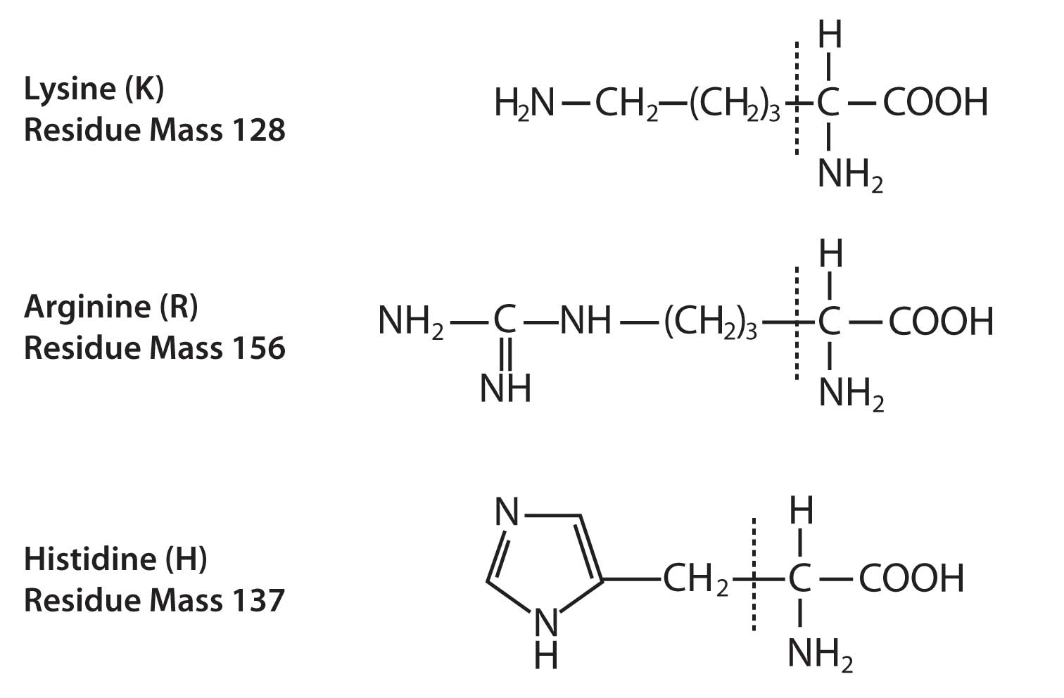 how-to-calculate-molecular-weight-of-protein